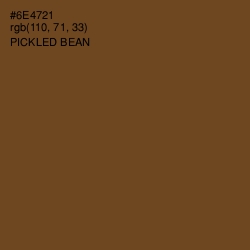 #6E4721 - Pickled Bean Color Image